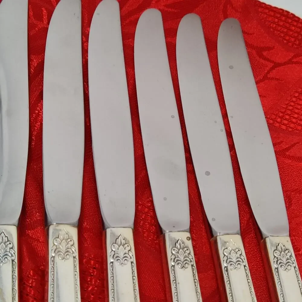 8X BK Rogers Bros ADORATION International SilverPlate Butter Knives
